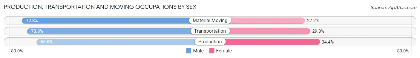 Production, Transportation and Moving Occupations by Sex in Zip Code 96818