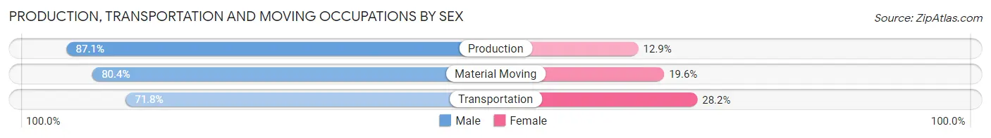 Production, Transportation and Moving Occupations by Sex in Zip Code 96822