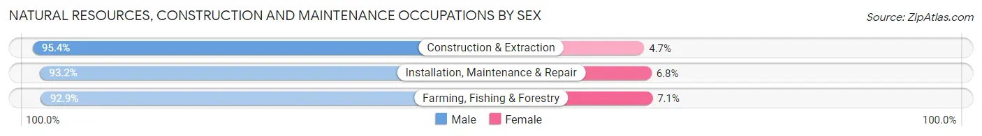 Natural Resources, Construction and Maintenance Occupations by Sex in Zip Code 96825