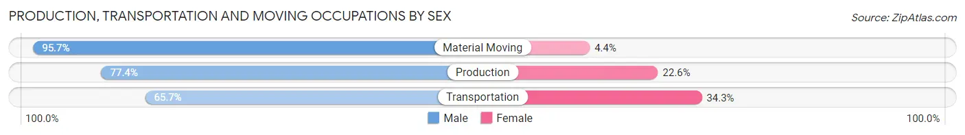 Production, Transportation and Moving Occupations by Sex in Zip Code 96825