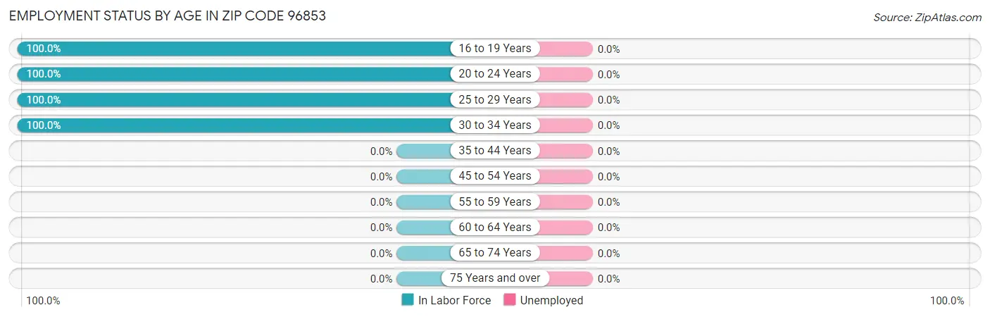Employment Status by Age in Zip Code 96853