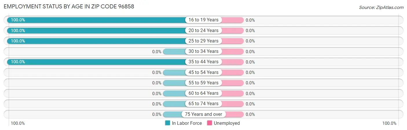 Employment Status by Age in Zip Code 96858