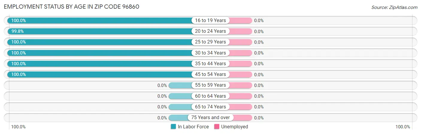 Employment Status by Age in Zip Code 96860