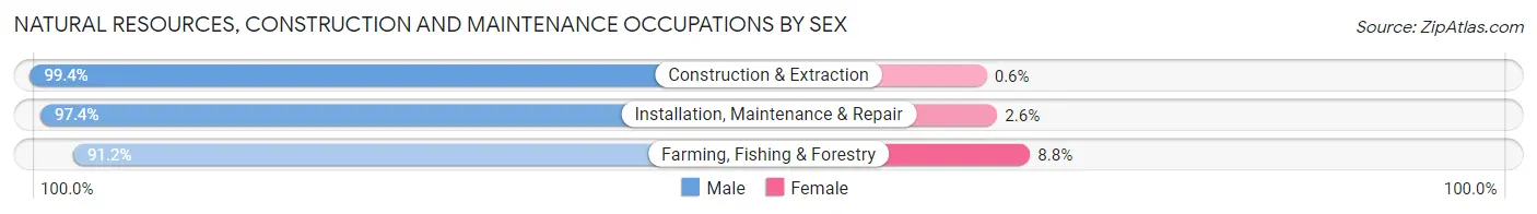 Natural Resources, Construction and Maintenance Occupations by Sex in Zip Code 97058