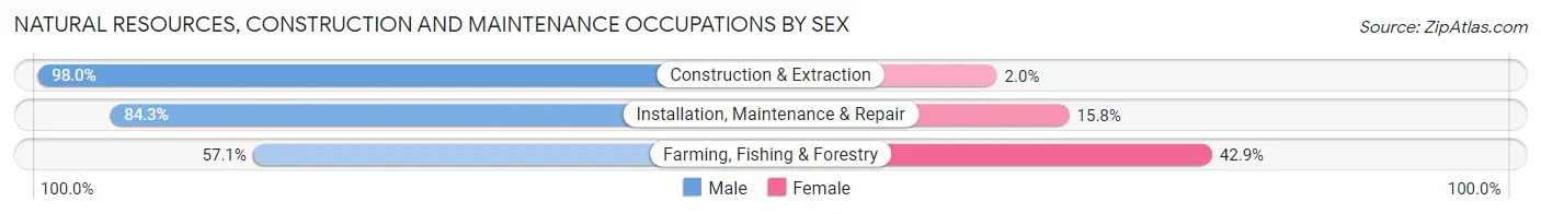 Natural Resources, Construction and Maintenance Occupations by Sex in Zip Code 97078