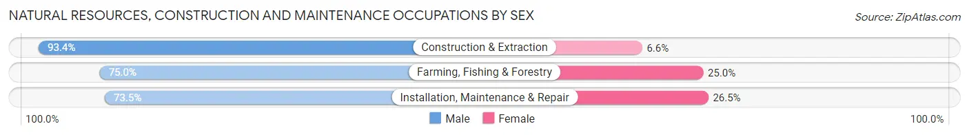 Natural Resources, Construction and Maintenance Occupations by Sex in Zip Code 97133