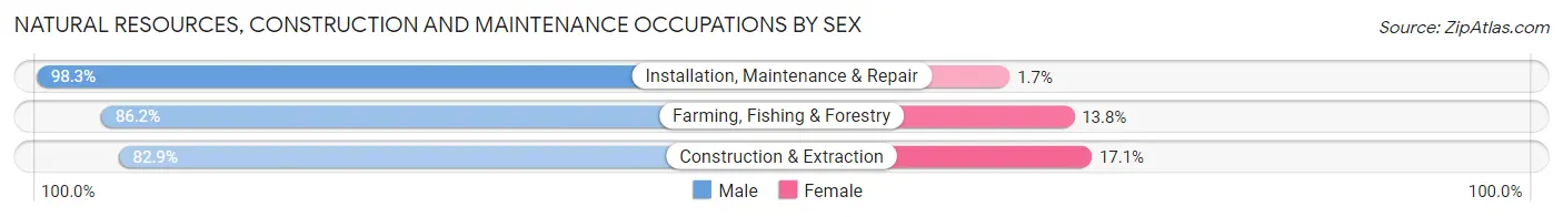 Natural Resources, Construction and Maintenance Occupations by Sex in Zip Code 97206