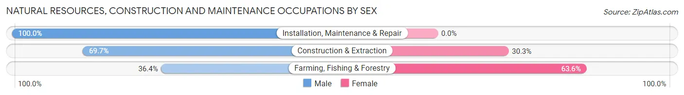 Natural Resources, Construction and Maintenance Occupations by Sex in Zip Code 97375