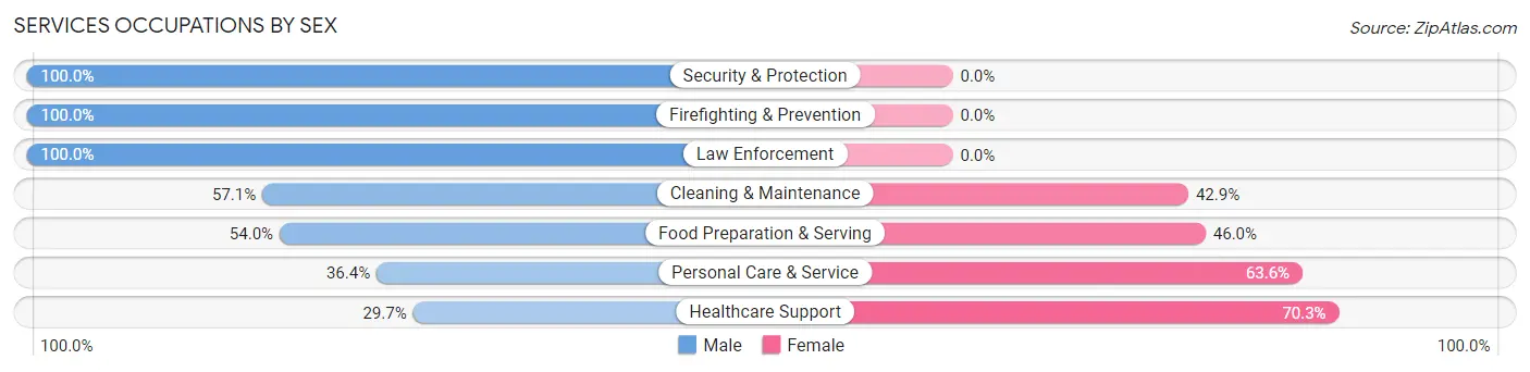 Services Occupations by Sex in Zip Code 97389