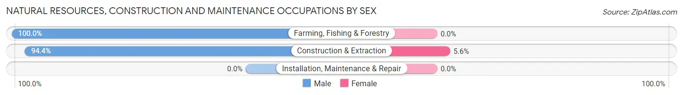 Natural Resources, Construction and Maintenance Occupations by Sex in Zip Code 97492