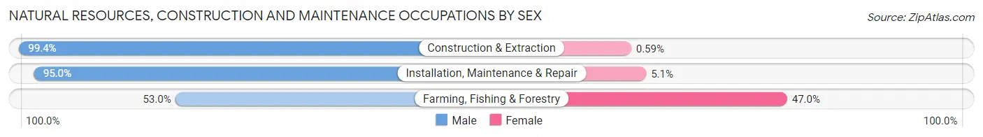 Natural Resources, Construction and Maintenance Occupations by Sex in Zip Code 97702