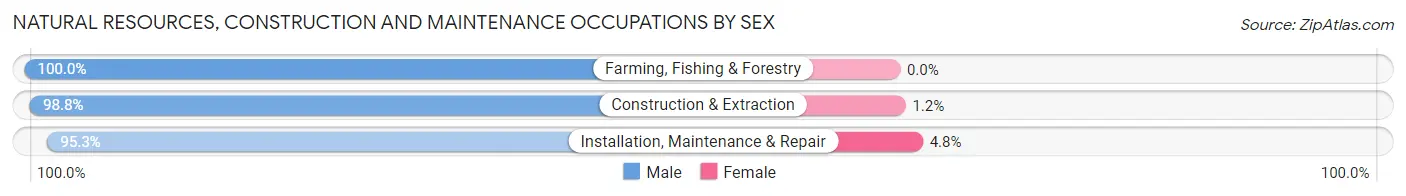 Natural Resources, Construction and Maintenance Occupations by Sex in Zip Code 98321