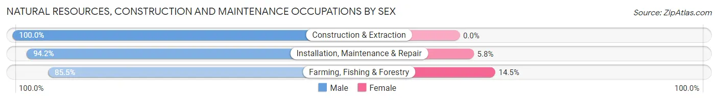 Natural Resources, Construction and Maintenance Occupations by Sex in Zip Code 98499