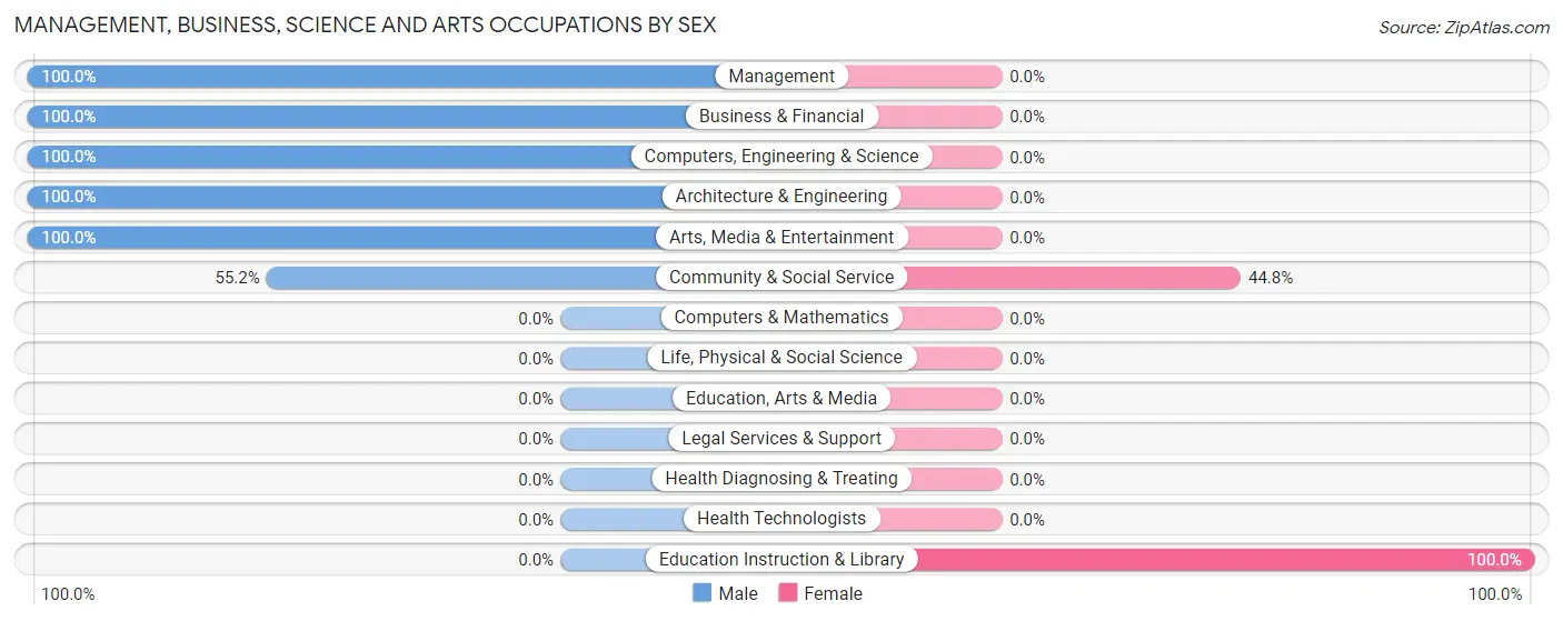 Management, Business, Science and Arts Occupations by Sex in Zip Code 99540