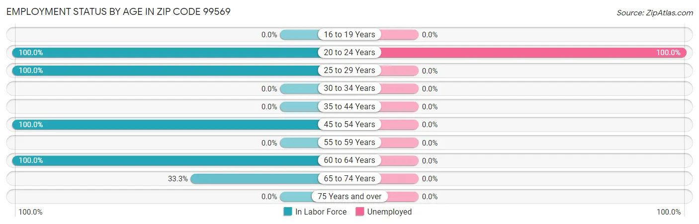Employment Status by Age in Zip Code 99569