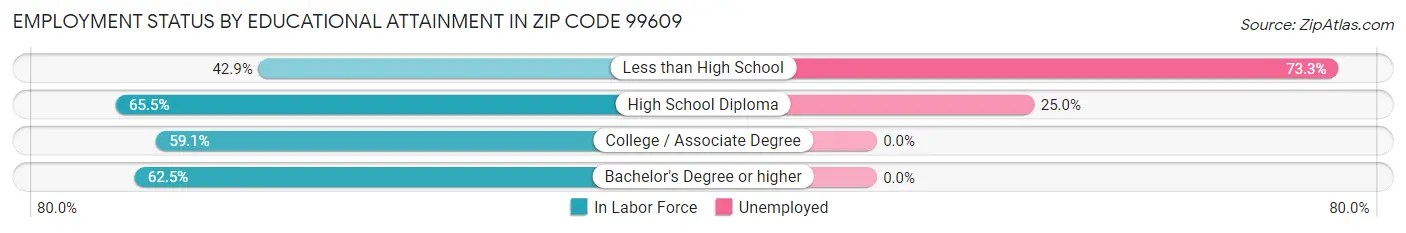 Employment Status by Educational Attainment in Zip Code 99609