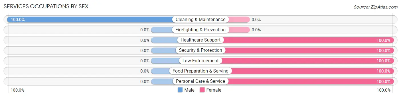 Services Occupations by Sex in Zip Code 99609