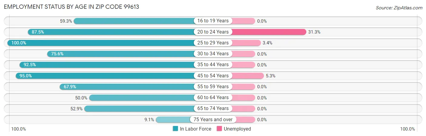 Employment Status by Age in Zip Code 99613