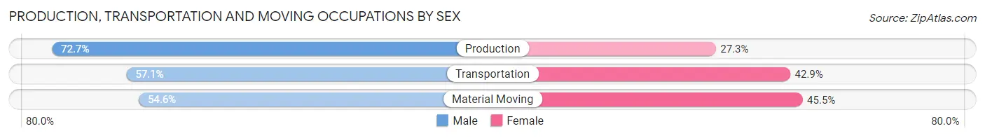 Production, Transportation and Moving Occupations by Sex in Zip Code 99630
