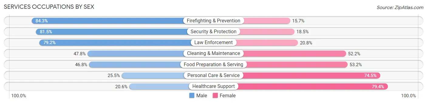 Services Occupations by Sex in Zip Code 99645