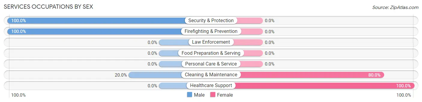 Services Occupations by Sex in Zip Code 99747