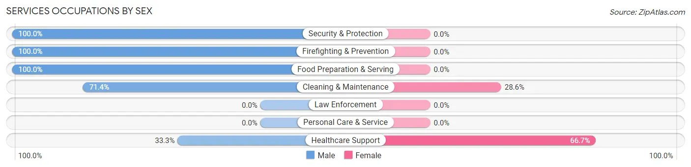 Services Occupations by Sex in Zip Code 99761