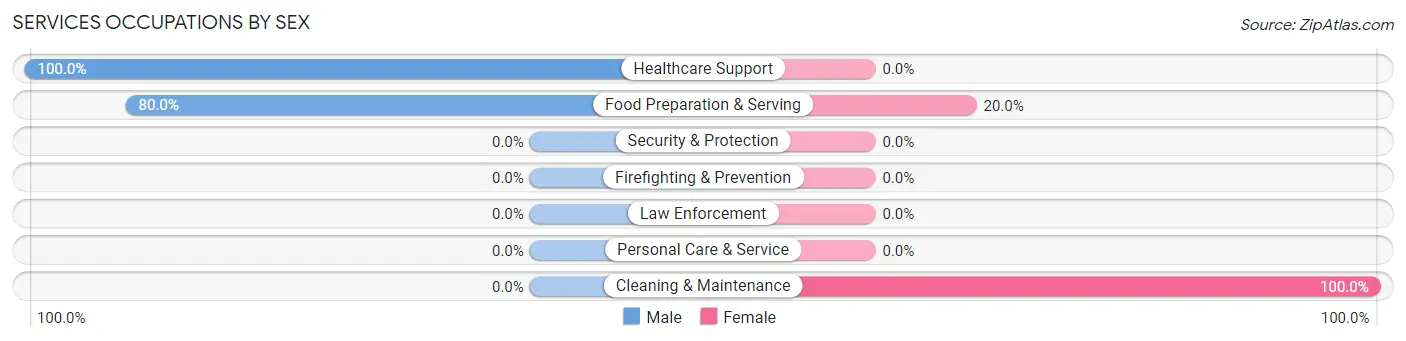 Services Occupations by Sex in Zip Code 99776