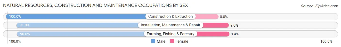 Natural Resources, Construction and Maintenance Occupations by Sex in Zip Code 99901