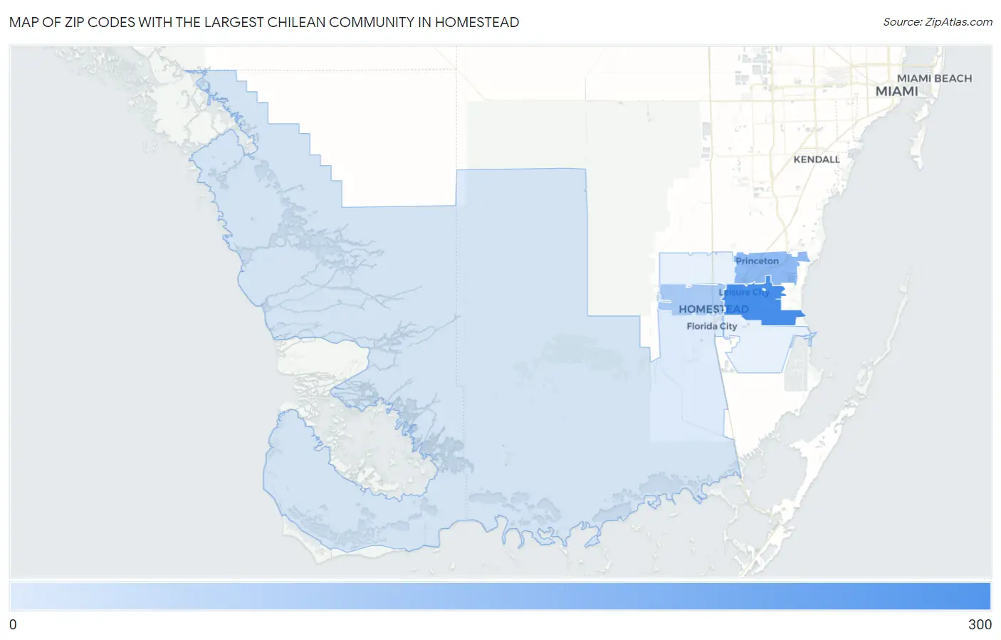 Zip Codes with the Largest Chilean Community in Homestead Map