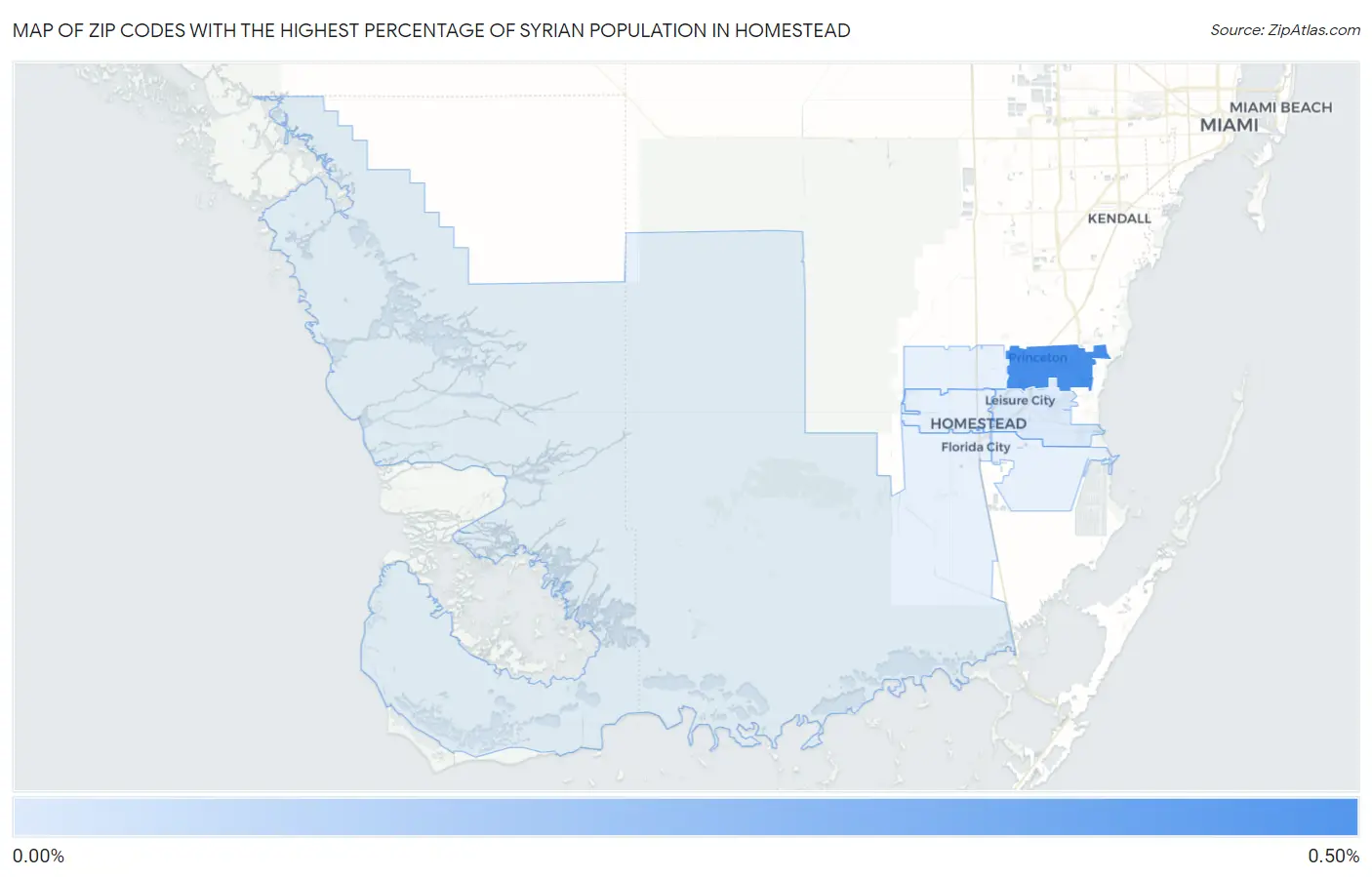 Zip Codes with the Highest Percentage of Syrian Population in Homestead Map