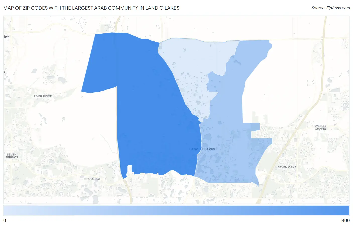 Zip Codes with the Largest Arab Community in Land O Lakes Map