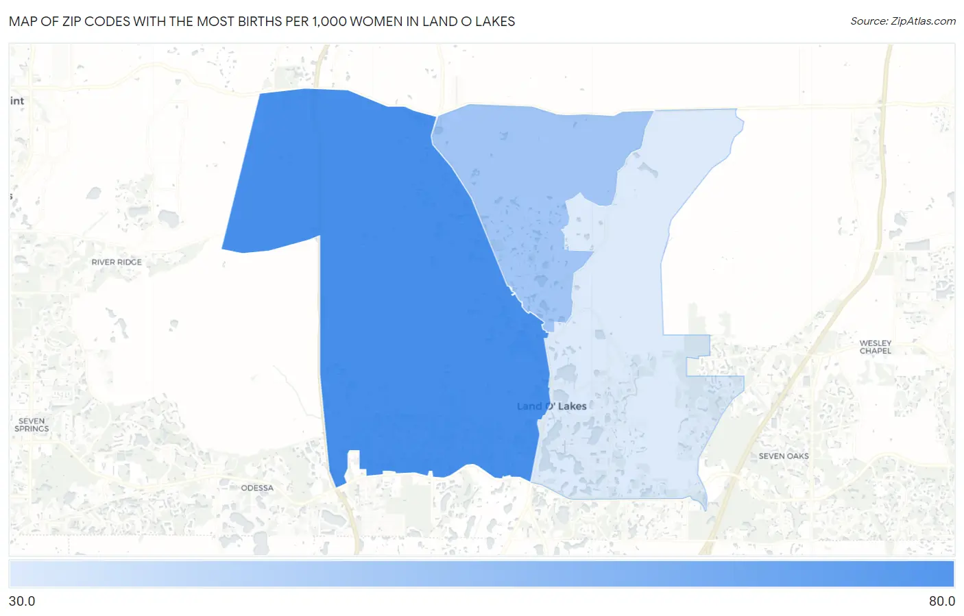 Zip Codes with the Most Births per 1,000 Women in Land O Lakes Map