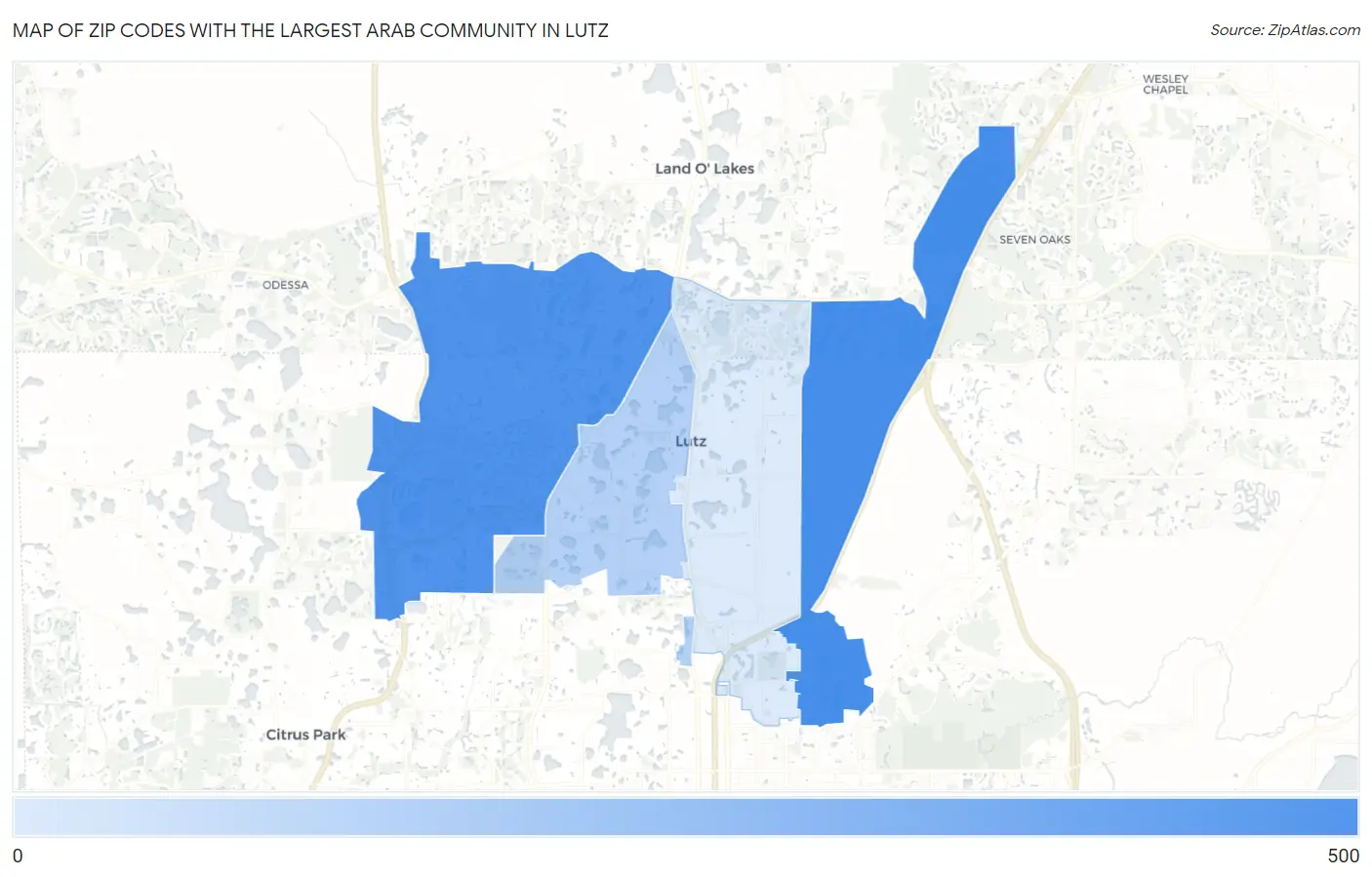 Zip Codes with the Largest Arab Community in Lutz Map