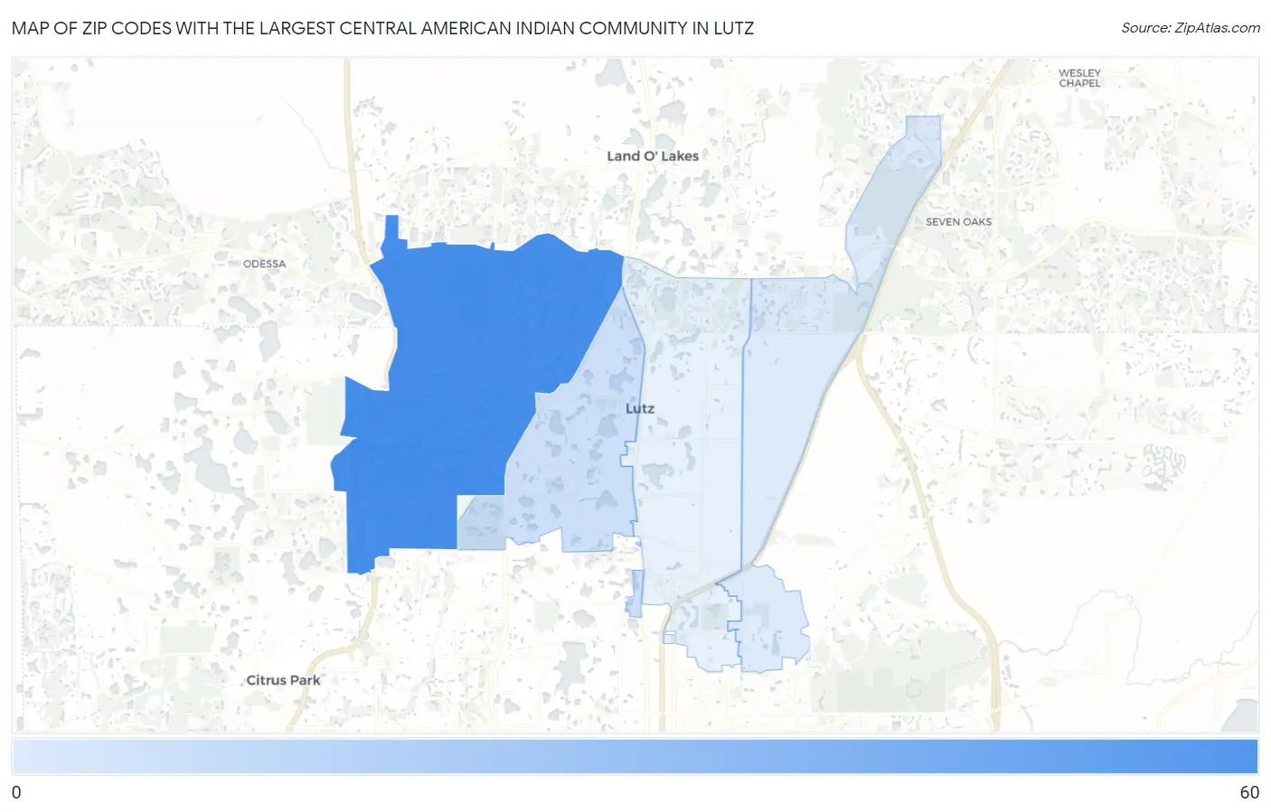 Zip Codes with the Largest Central American Indian Community in Lutz Map