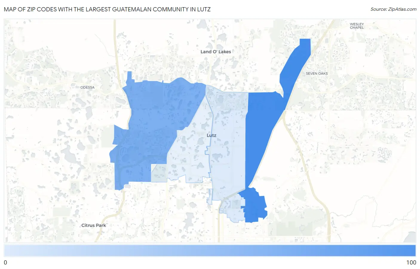 Zip Codes with the Largest Guatemalan Community in Lutz Map