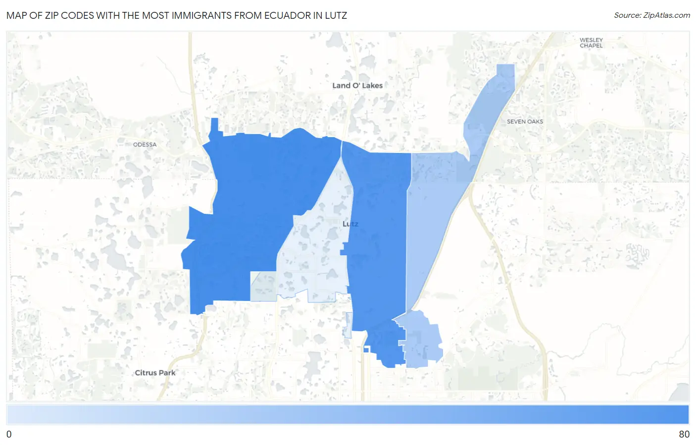 Zip Codes with the Most Immigrants from Ecuador in Lutz Map