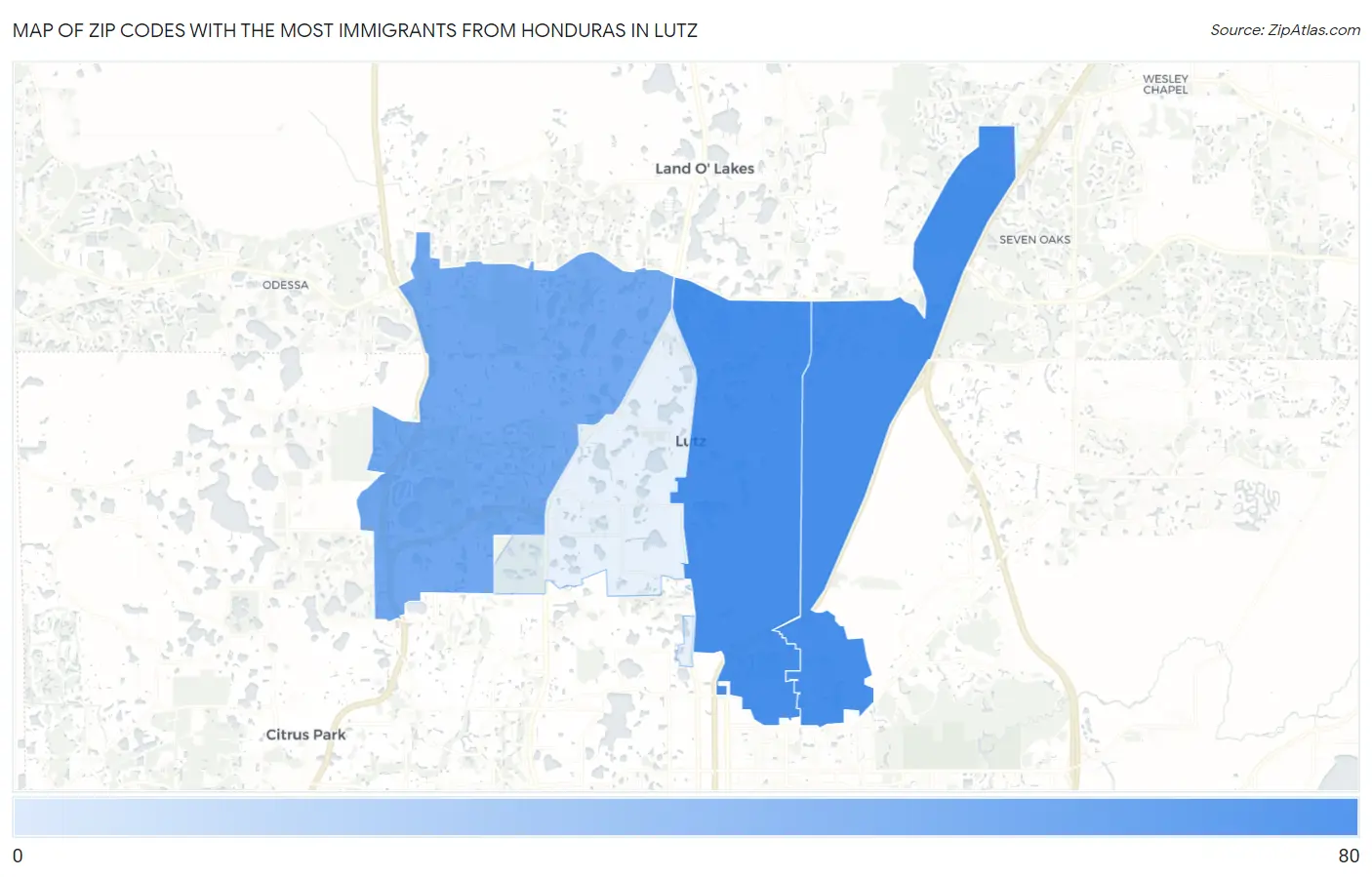 Zip Codes with the Most Immigrants from Honduras in Lutz Map
