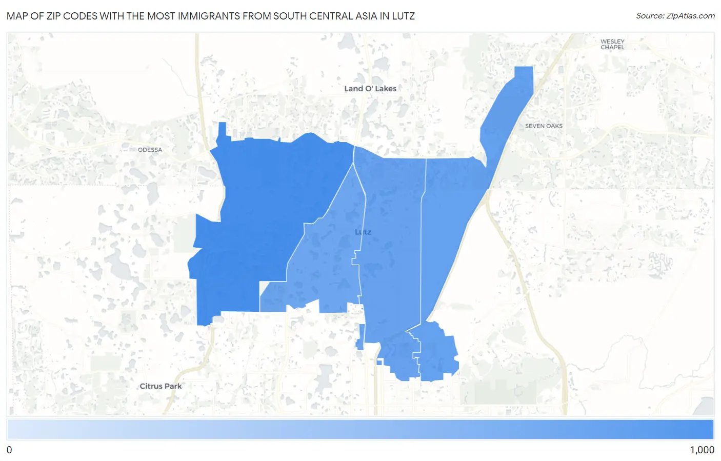 Zip Codes with the Most Immigrants from South Central Asia in Lutz Map