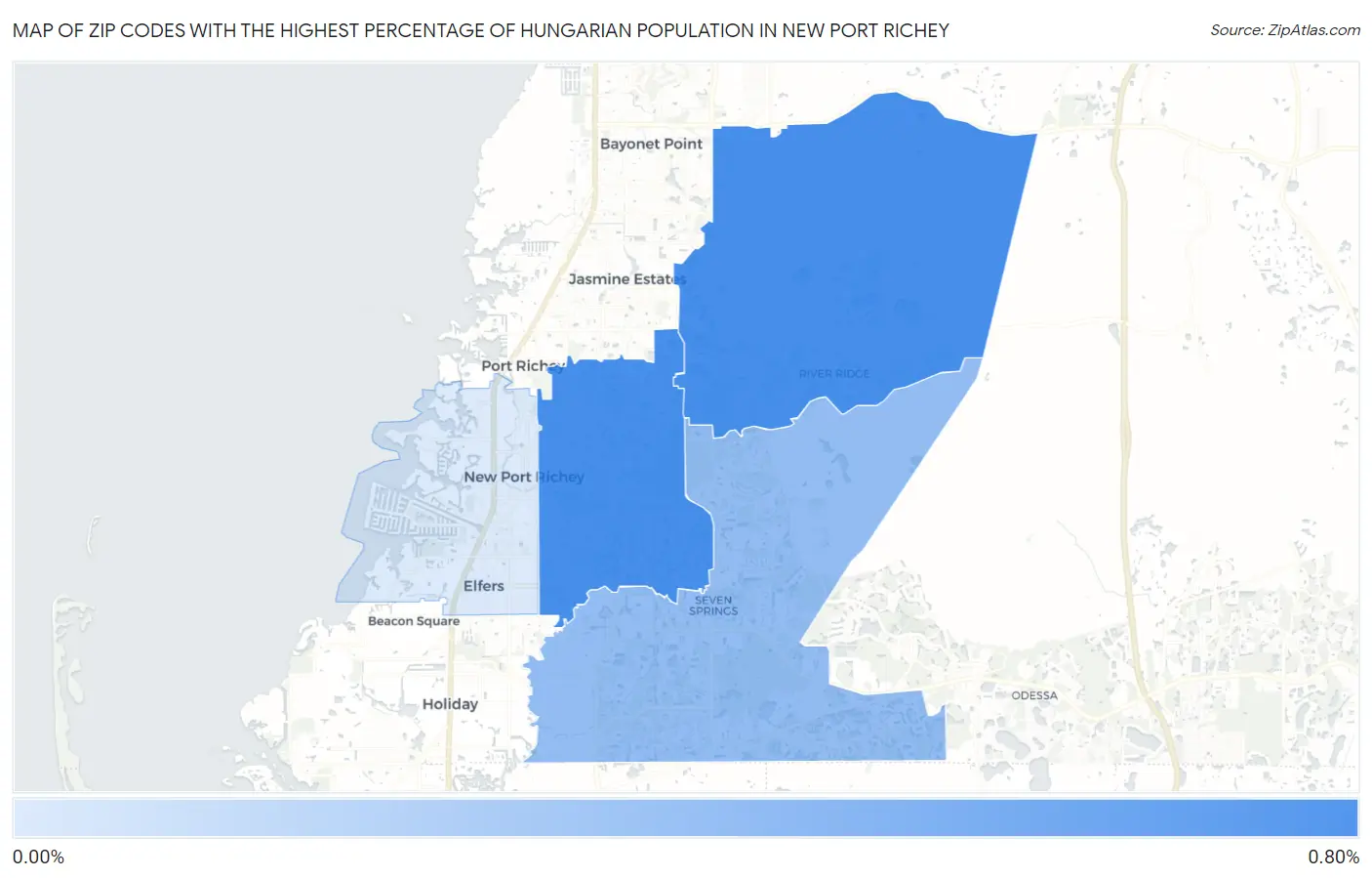 Zip Codes with the Highest Percentage of Hungarian Population in New Port Richey Map