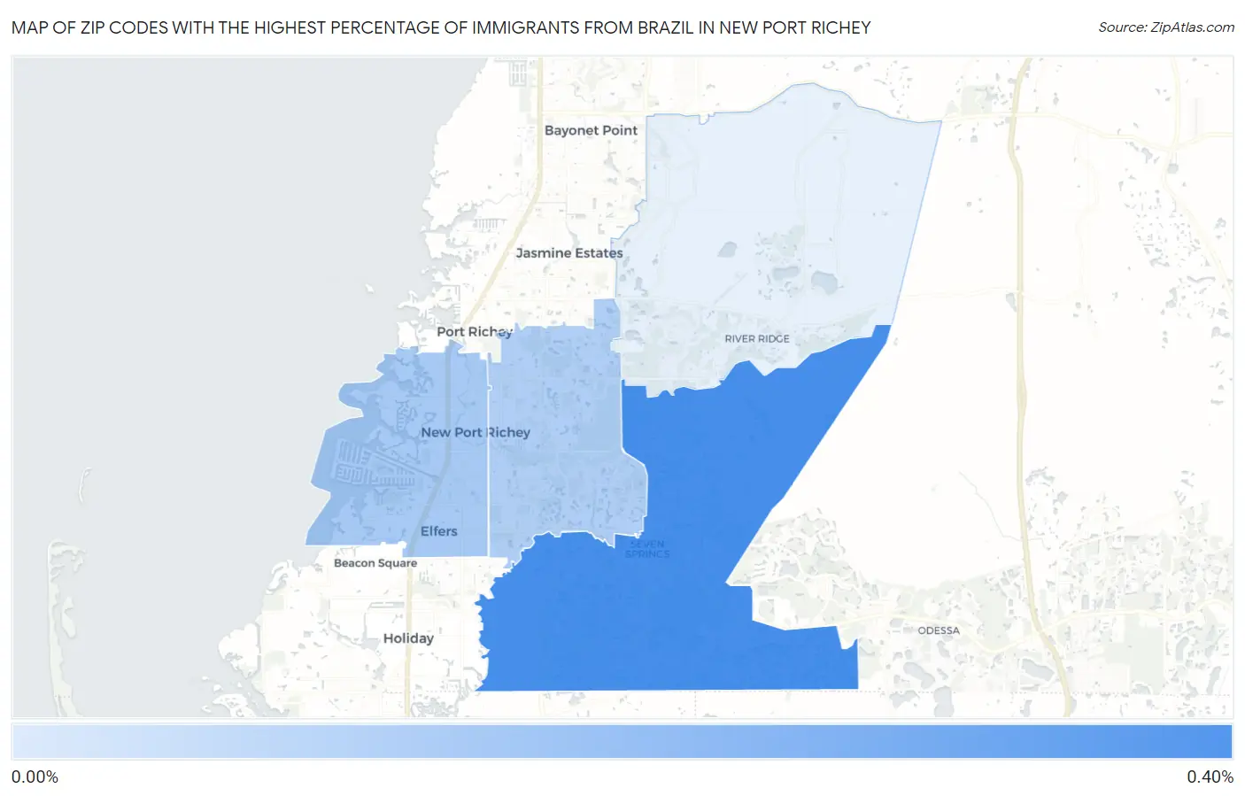 Zip Codes with the Highest Percentage of Immigrants from Brazil in New Port Richey Map