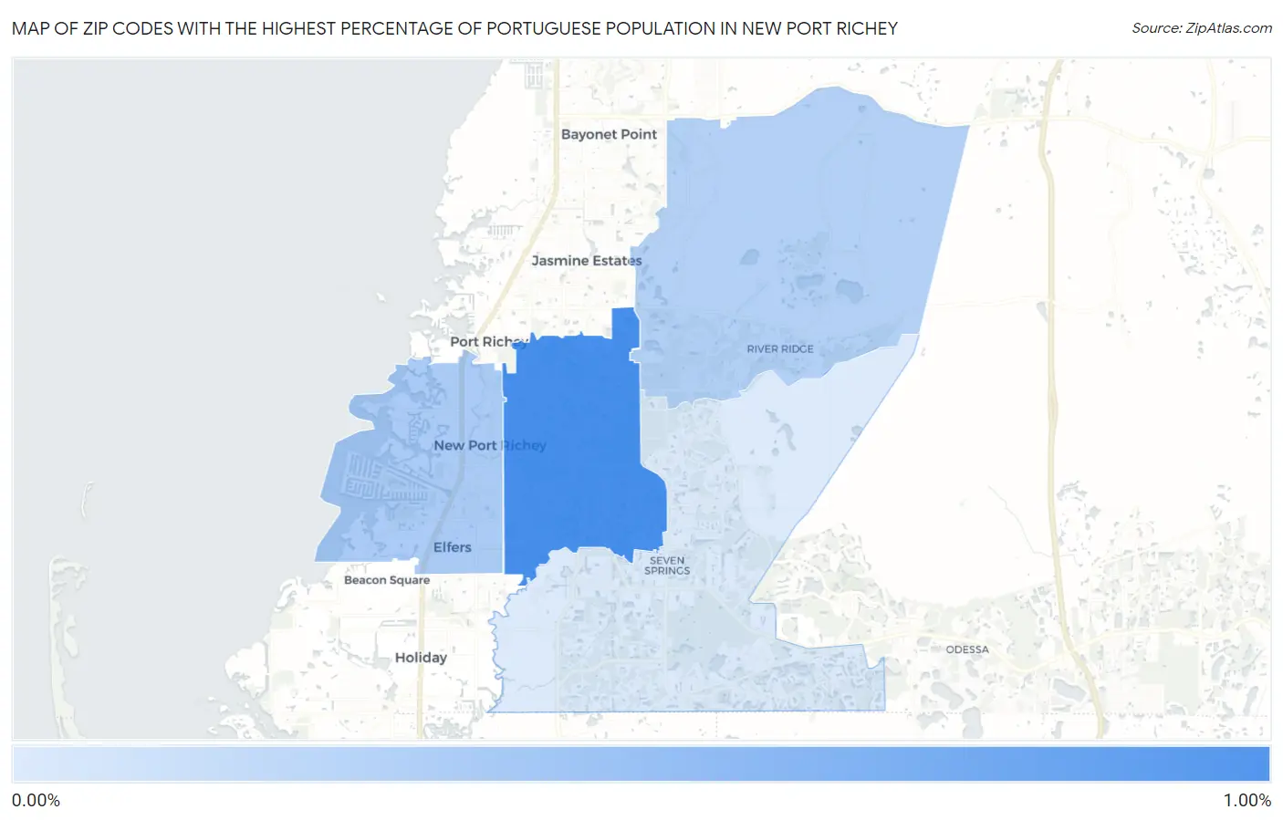 Zip Codes with the Highest Percentage of Portuguese Population in New Port Richey Map