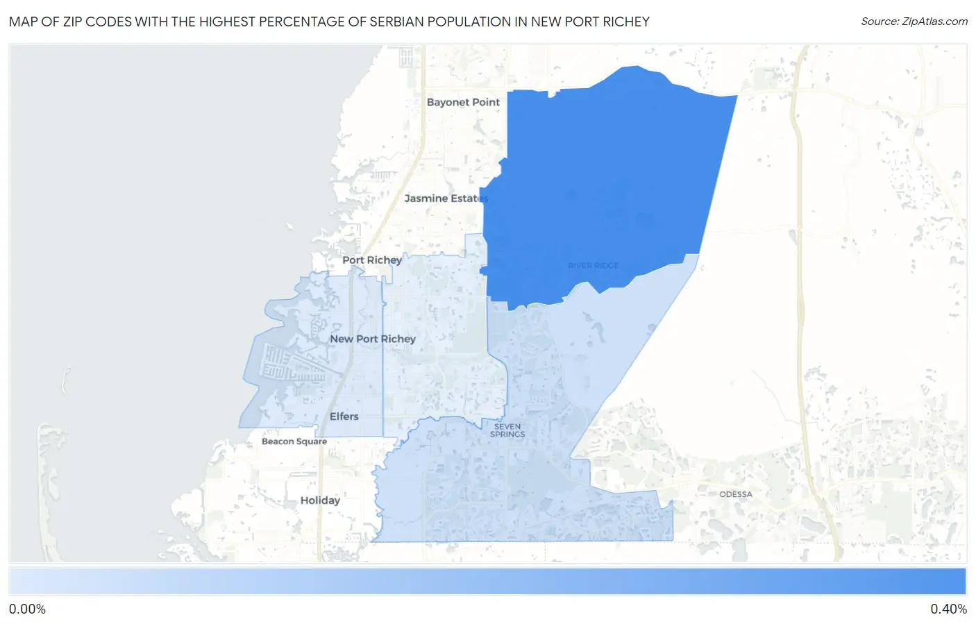 Zip Codes with the Highest Percentage of Serbian Population in New Port Richey Map