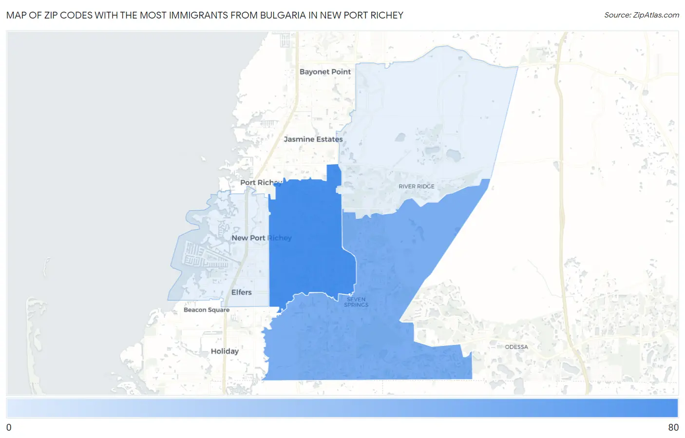 Zip Codes with the Most Immigrants from Bulgaria in New Port Richey Map