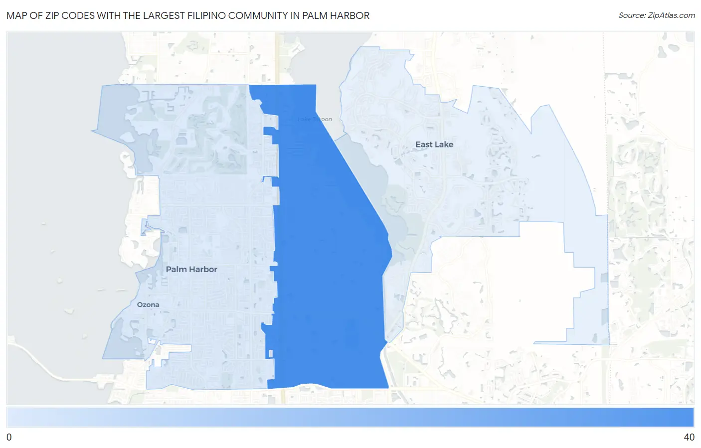Zip Codes with the Largest Filipino Community in Palm Harbor Map