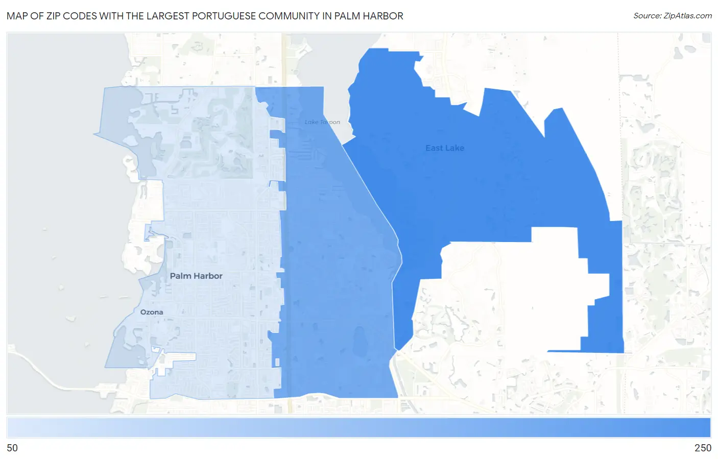 Zip Codes with the Largest Portuguese Community in Palm Harbor Map