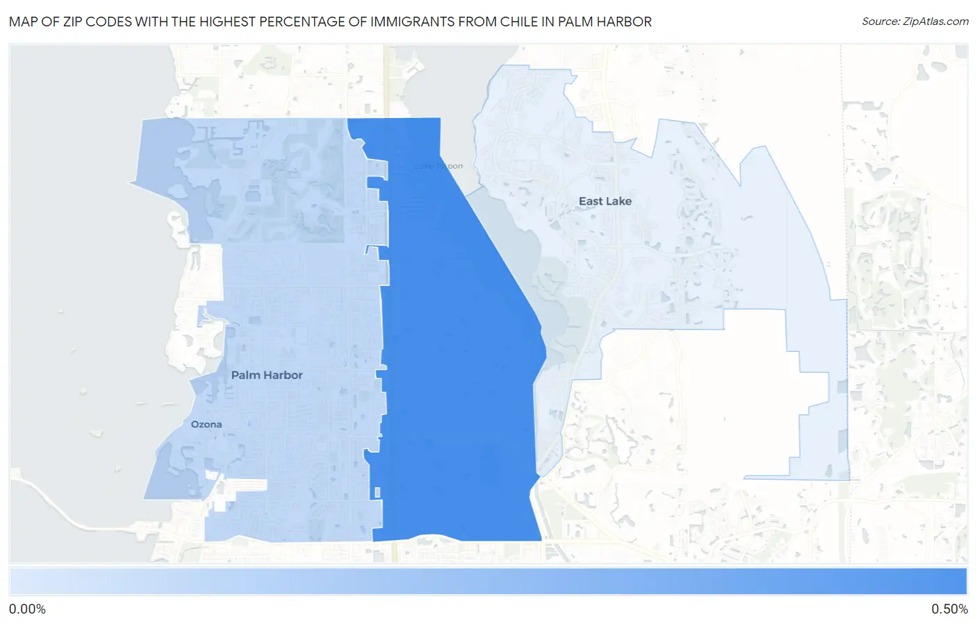 Zip Codes with the Highest Percentage of Immigrants from Chile in Palm Harbor Map