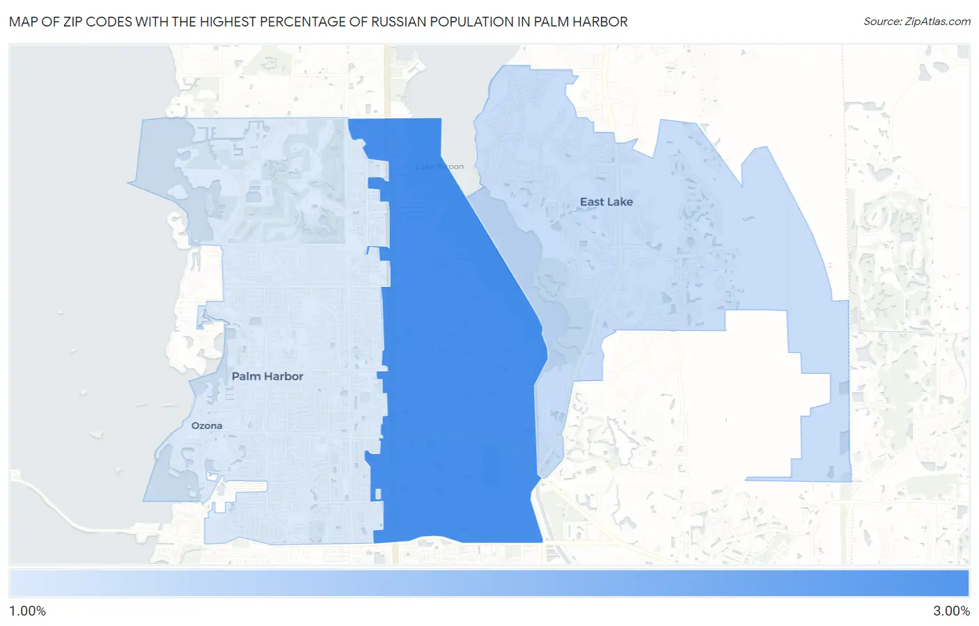 Zip Codes with the Highest Percentage of Russian Population in Palm Harbor Map