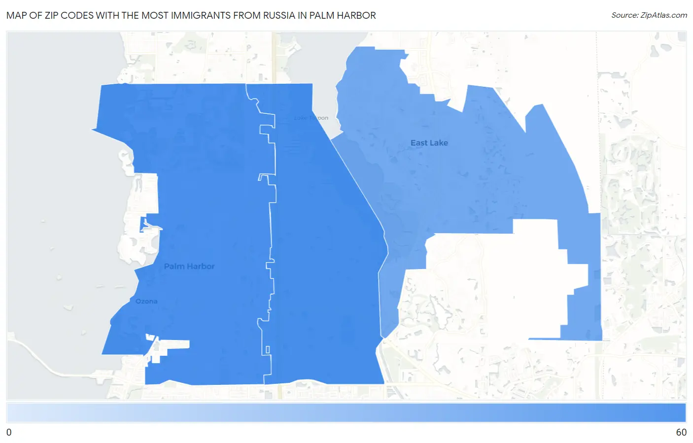 Zip Codes with the Most Immigrants from Russia in Palm Harbor Map
