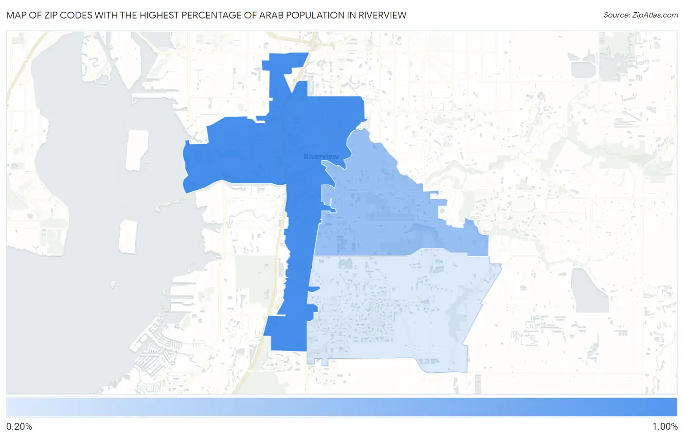 Zip Codes with the Highest Percentage of Arab Population in Riverview Map