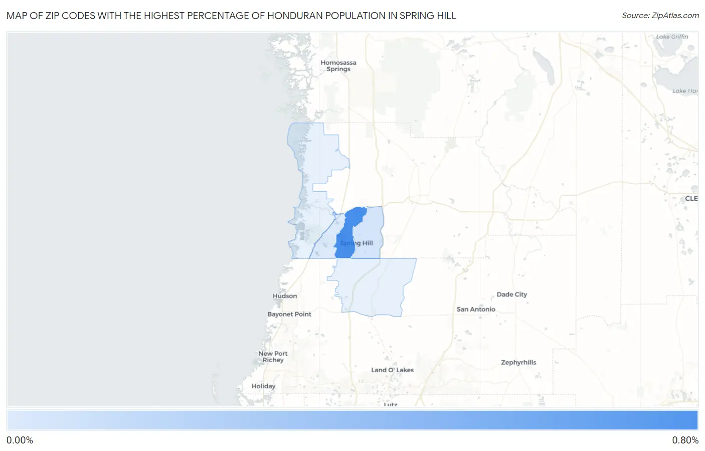Zip Codes with the Highest Percentage of Honduran Population in Spring Hill Map